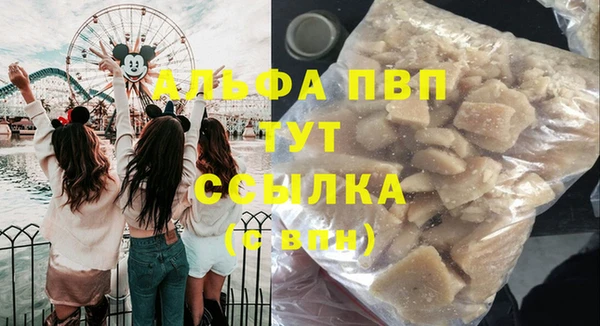 тгк Абаза