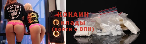 тгк Абаза