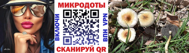 Купить закладки  Александровск-Сахалинский  Псилоцибиновые грибы Psilocybe 